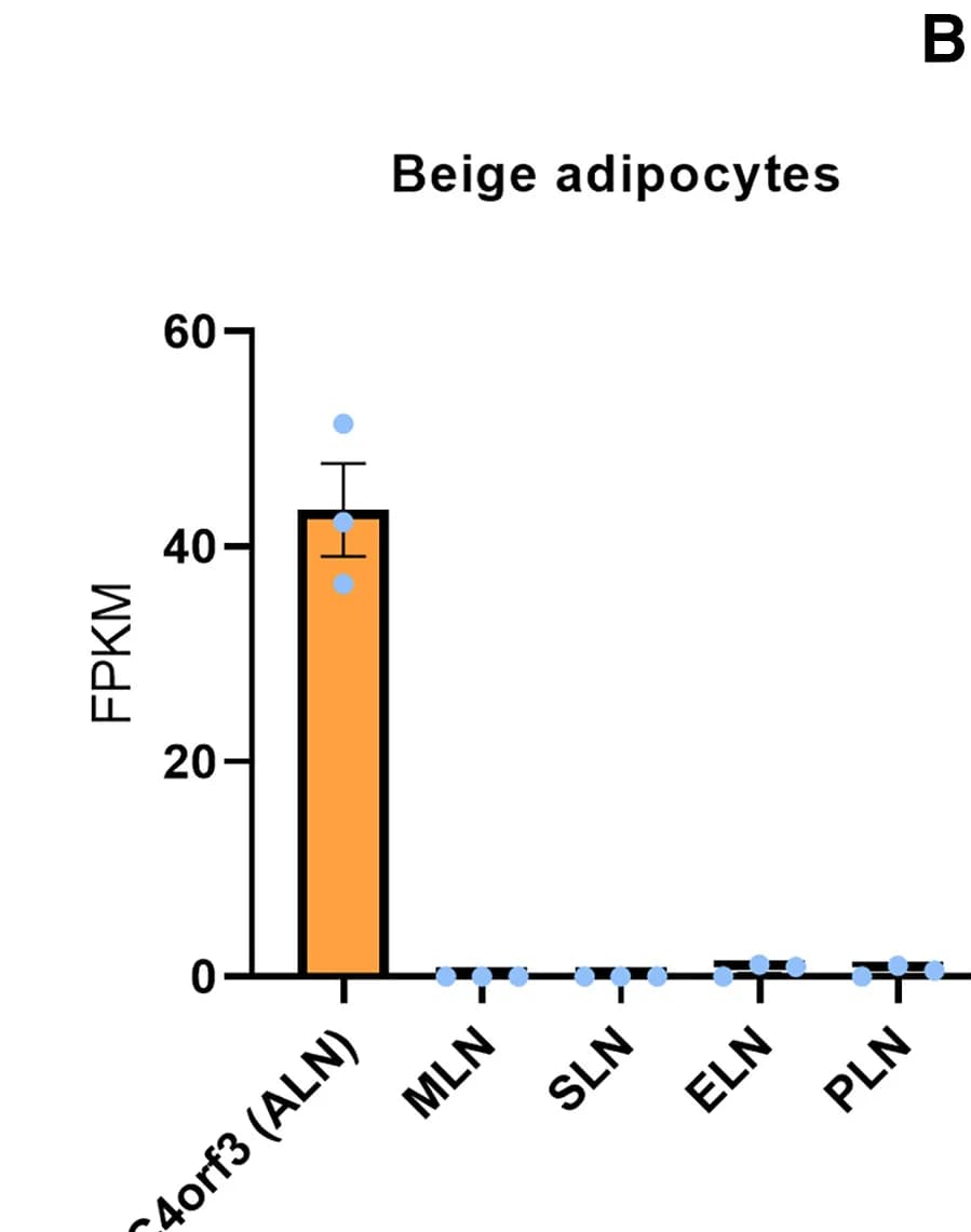Open access visualization of Bar Plot, Error Bars, Scatter Plot, SERCA-binding Peptides, Beige Adipocytes