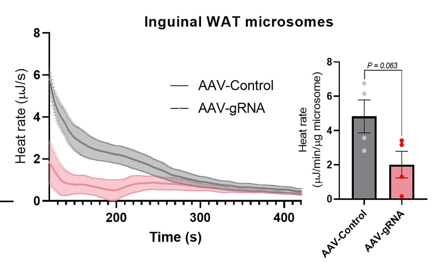 Open access visualization of Line Plot, Error Bars, Bar Plot, Heat Rate, Microsomes