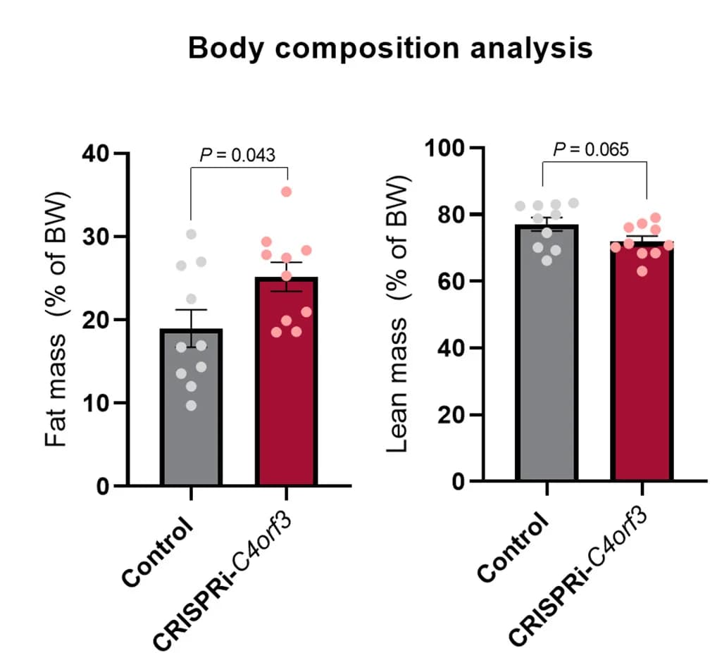 Open access visualization of Bar Plot, Error Bars, Scatter Plot, Fat Mass, Lean Mass