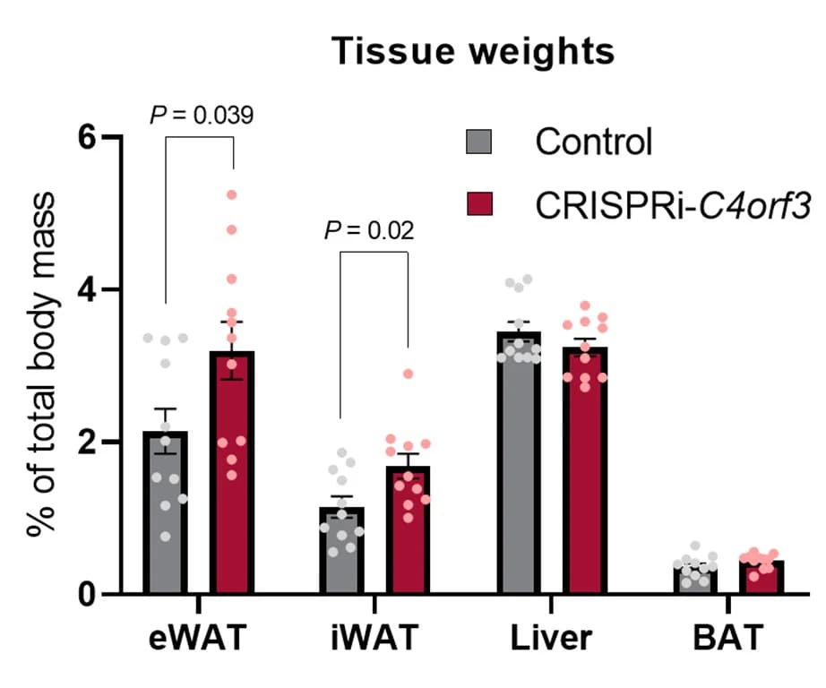 Open access visualization of Bar Plot, Error Bars, Scatter Plot, Clustered, Tissue Weight