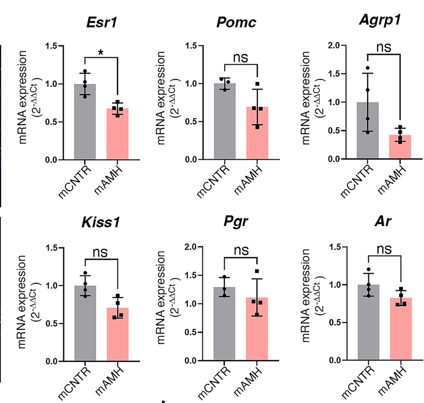 Open access visualization of Bar Plot, Error Bars, Relative expression, Esr1 mRNA, Pomc mRNA