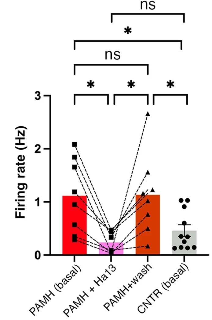 Open access visualization of Bar Plot, Error Bars, Scatter Plot, Line Plot, Structural Model
