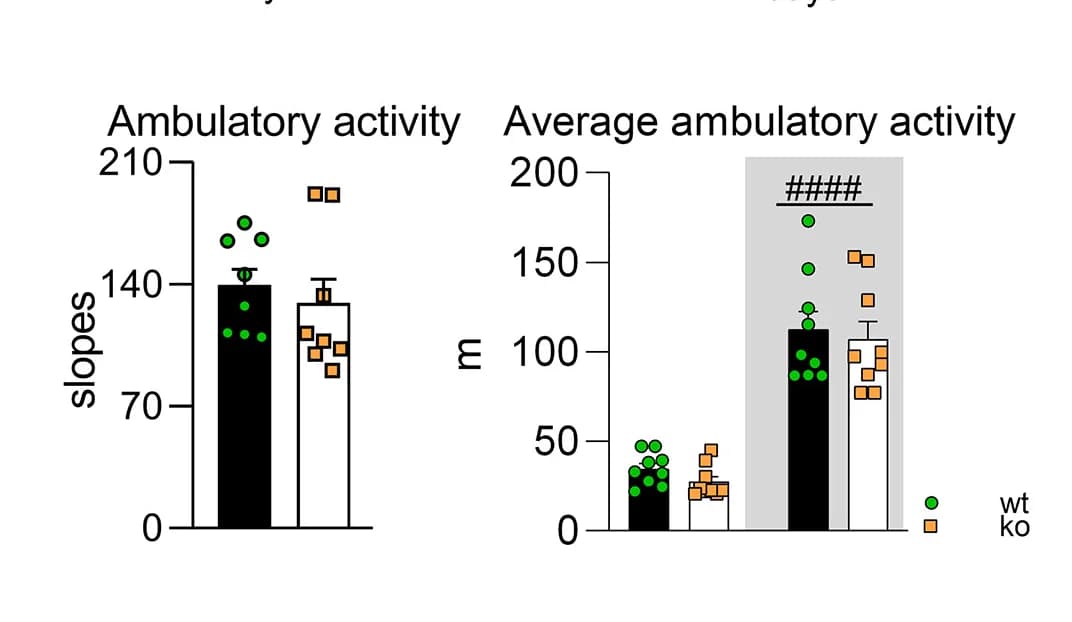 Open access visualization of Bar Plot, Error Bars, Scatter Plot, Home-Cage Behavior, Time Distribution