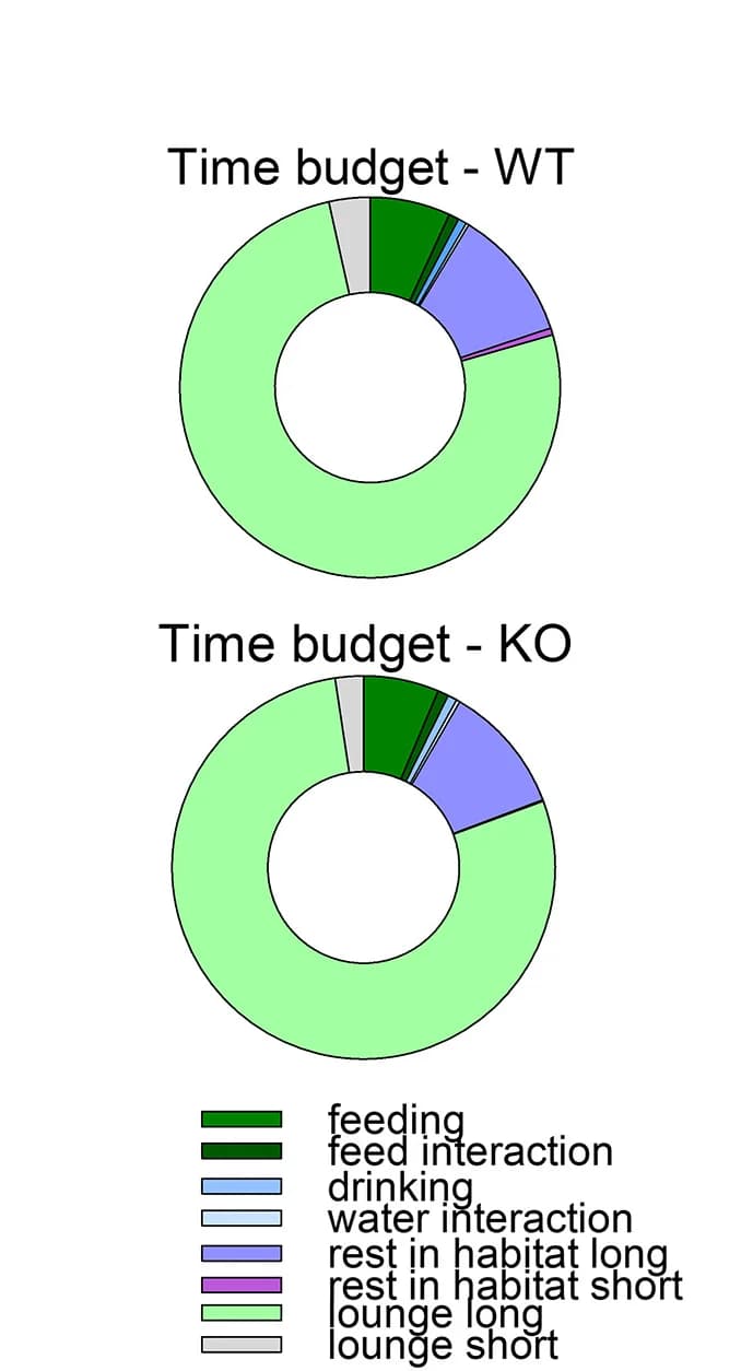 Open access visualization of Donut Chart, Home-Cage Behavior, Time Distribution, Feeding, Walking