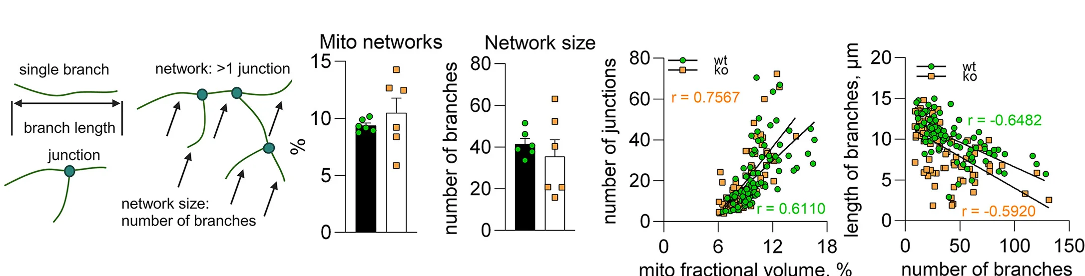 Open access visualization of Scatter Plot, Bar Plot, Error Bars, Regression Plot, Mito Network