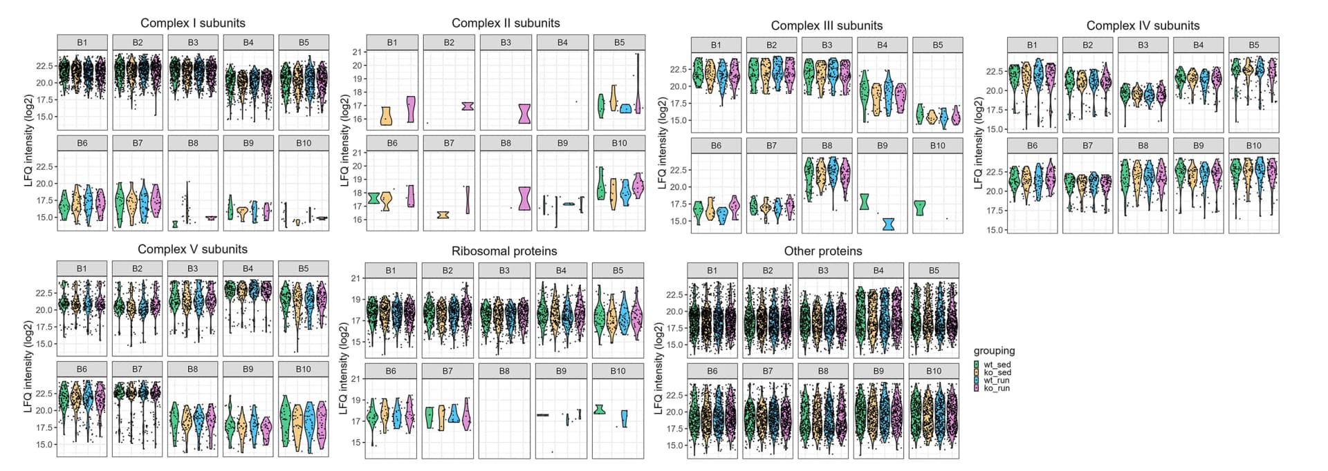 Open access visualization of Violin Plot, Scatter Plot, Oxidative Phosphorylation, Ribosomal Proteins, Gel Bands