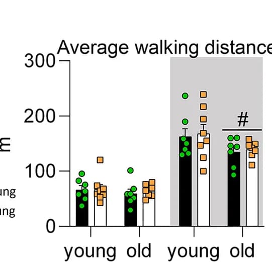 Open access visualization of Bar Plot, Error Bars, Scatter Plot, Ambulatory Activity, Light Phases