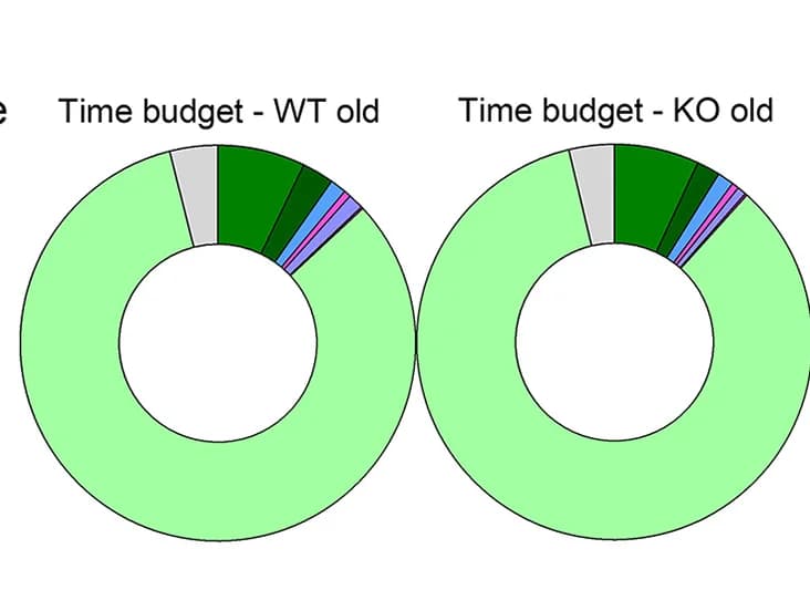 Open access visualization of Donut Chart, Pie Chart, Home-Cage Behavior, Mice