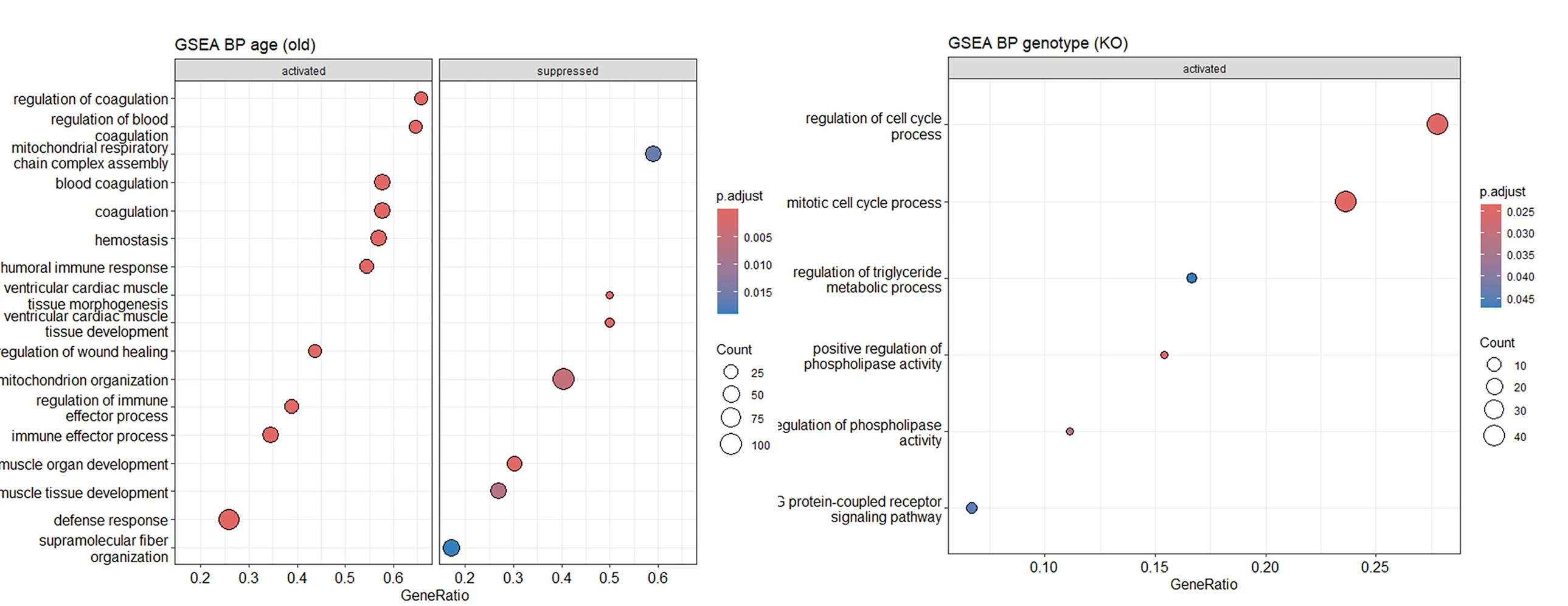 Open access visualization of Scatter Plot, Bubble Plot, Gene Set Enrichment Analysis, Proteins, Biological Processes