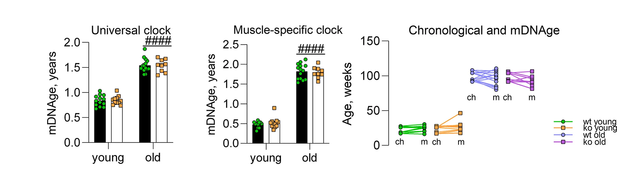 Open access visualization of Bar Plot, Scatter Plot, Line Plot, Clustered, Epigenetic Clock