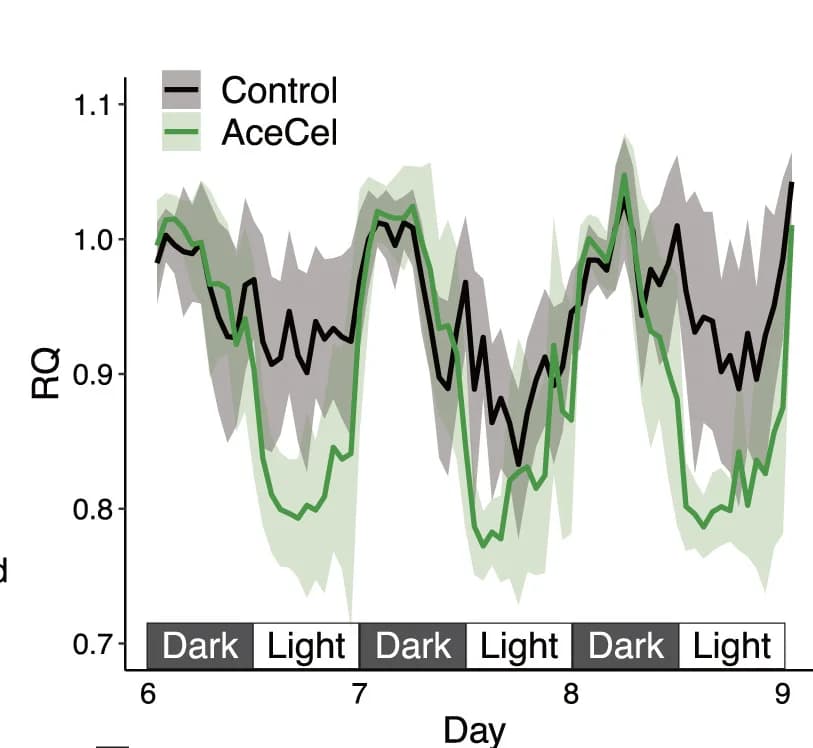 Open access visualization of Line Plot, Error Bars, RQ, Respiratory Quotient