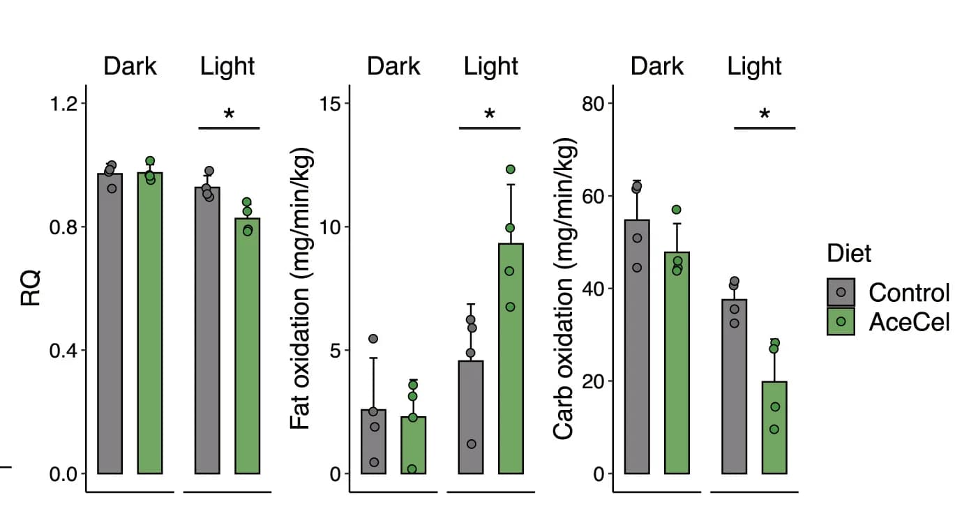 Open access visualization of Bar Plot, Error Bars, Clustered, RQ, Fat Oxidation Rate