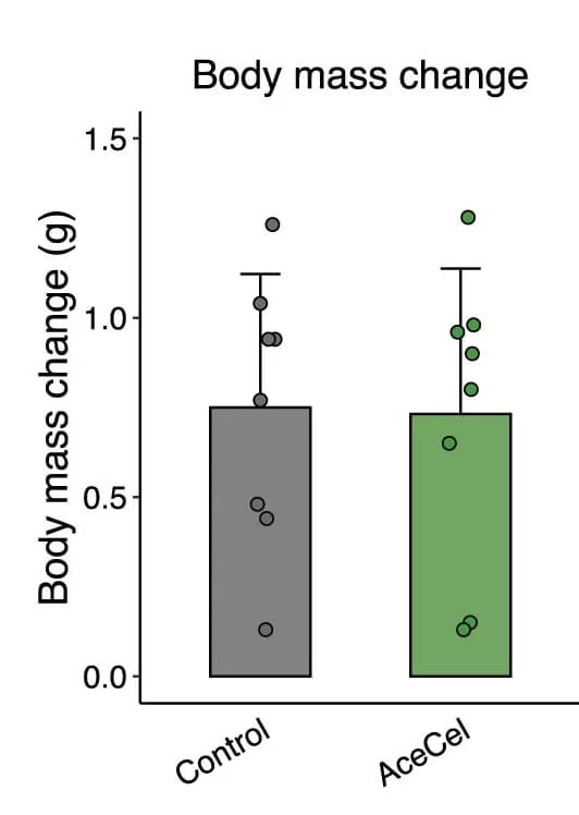 Open access visualization of Bar Plot, Scatter Plot, Error Bars, Body Mass Change, Wilcoxon Rank-Sum Test