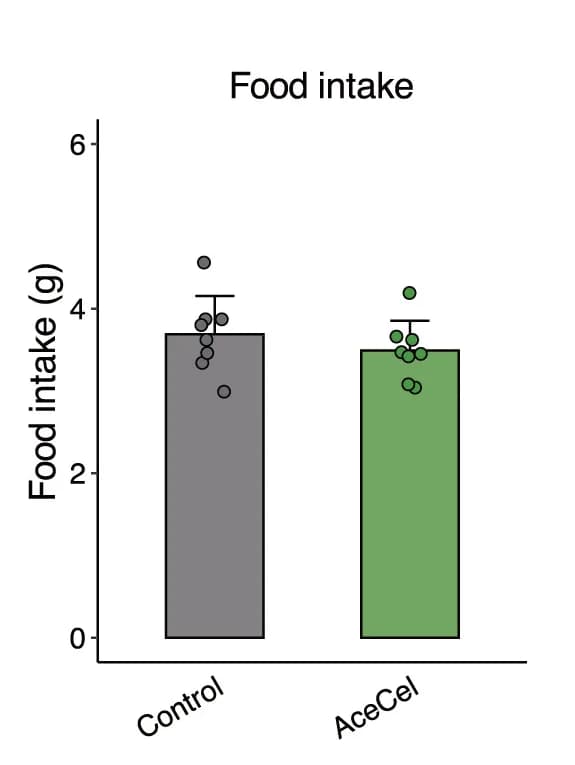 Open access visualization of Bar Plot, Error Bars, Scatter Plot, Food Intake, Wilcoxon Rank-Sum Test