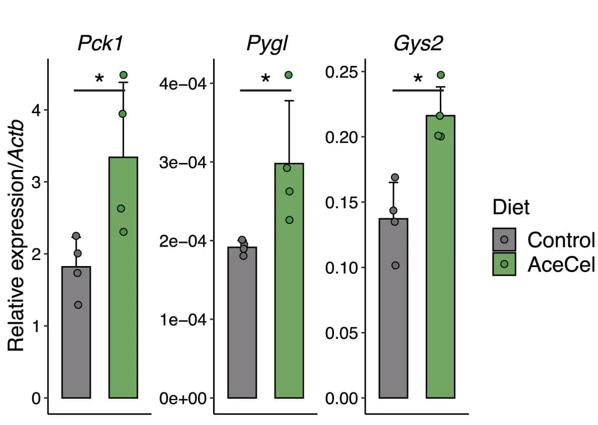 Open access visualization of Bar Plot, Error Bars, Scatter Plot, Gene Expression, Carbohydrate Metabolism