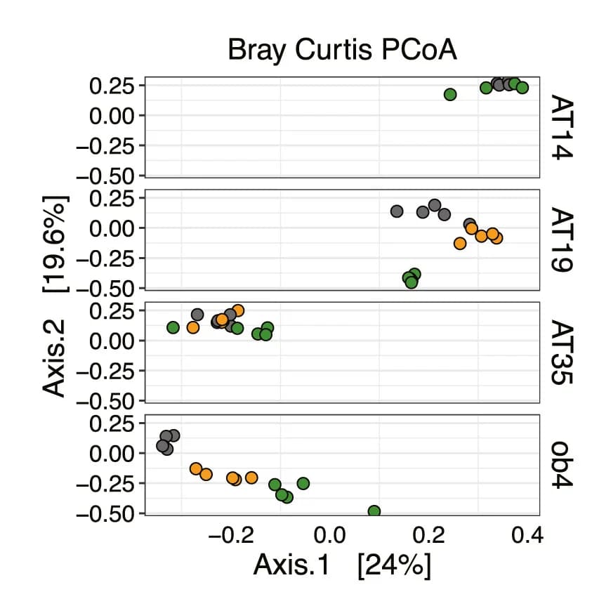Open access visualization of Scatter Plot, PCA, PCoA Plot, Bray-Curtis Dissimilarity, Cecal Microbiota