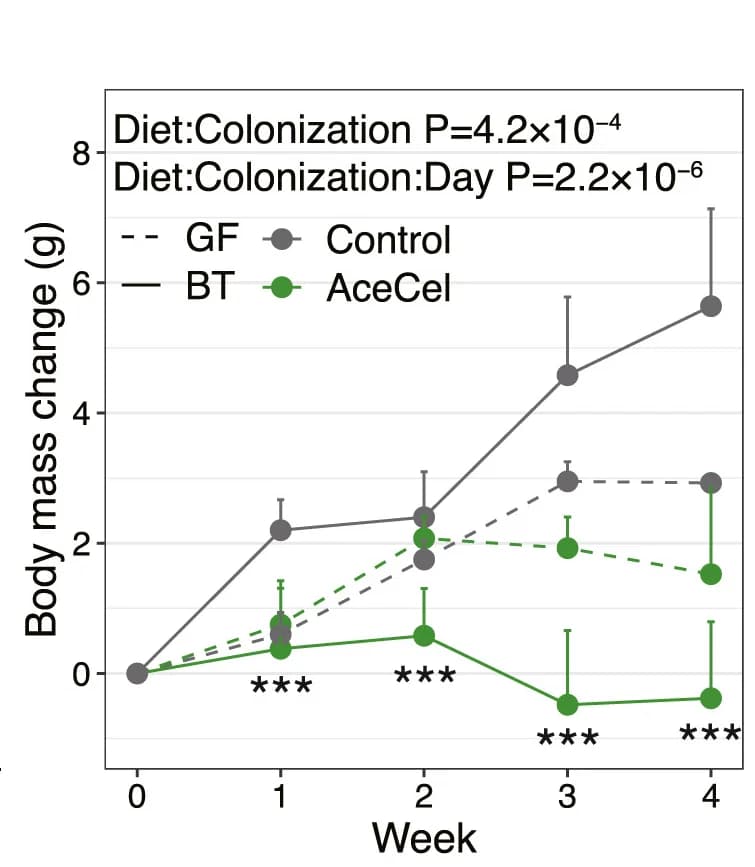 Open access visualization of Line Plot, Error Bars, Body Mass Change, GF Mice, BT-Monocolonized Mice