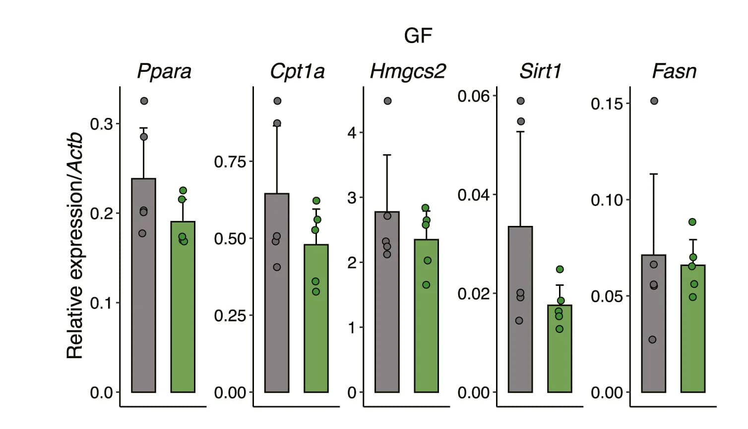 Open access visualization of Bar Plot, Error Bars, Scatter Plot, Relative Expression, Fatty Acid Oxidation