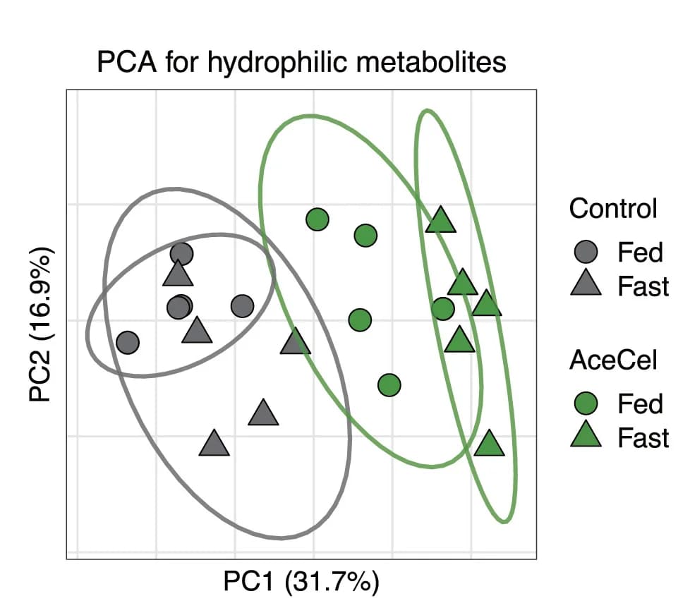 Open access visualization of PCA, Scatter Plot, PCA plot, Cecal Metabolites