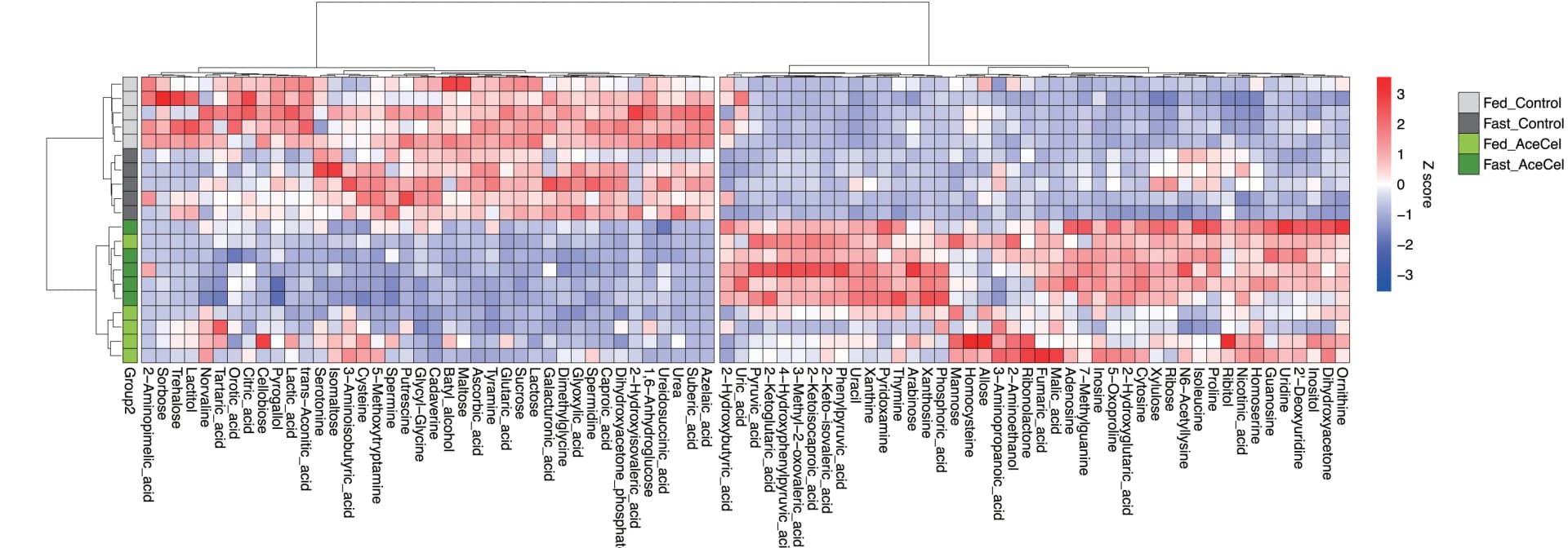 Open access visualization of Heatmap, Clustered, Ward-Linkage Hierarchical Clustering, Cecal Metabolites