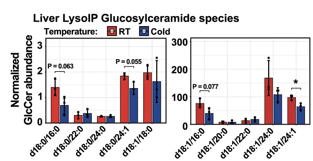 Open access visualization of Bar Plot, Clustered, Error Bars, Glucosylceramide Species, Lysosomes