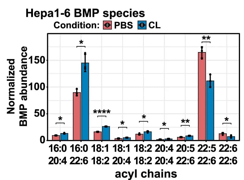 Open access visualization of Clustered, Error Bars, BMP Species, CL Condition, Lipid Measurements