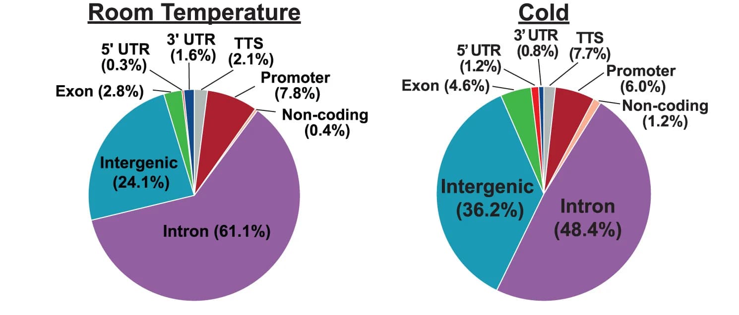 Open access visualization of Pie Chart, TFEB Binding, Genomic Binding Sites, Room Temperature