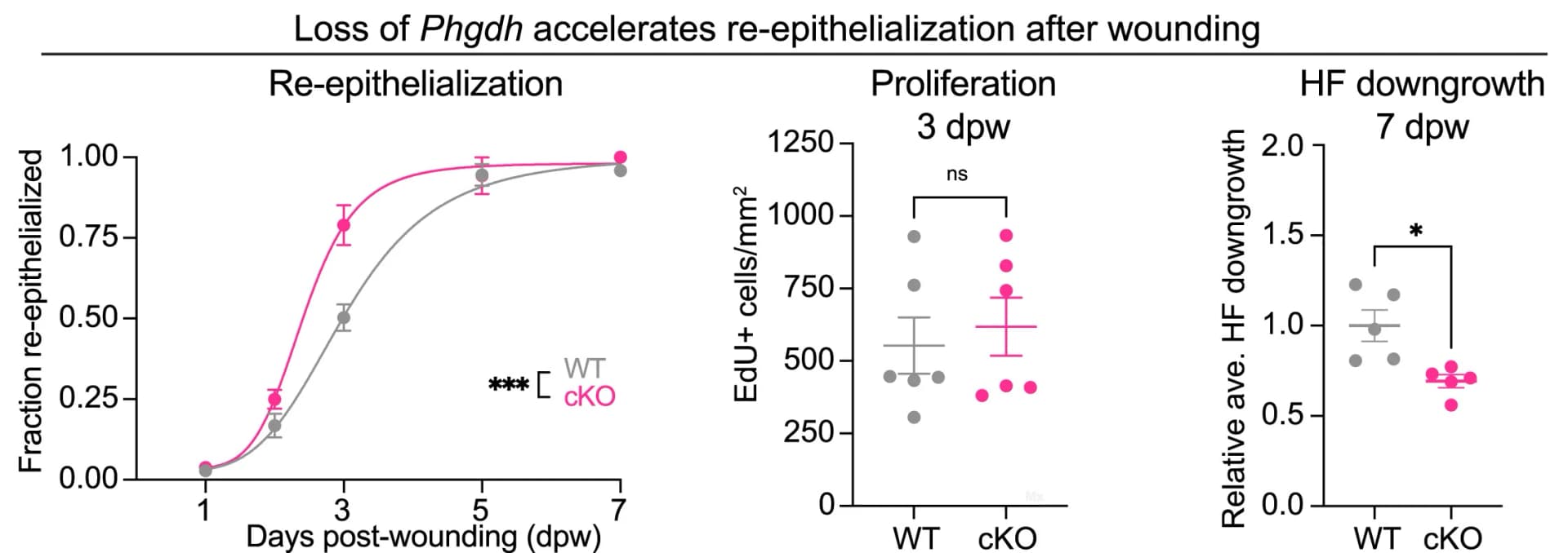 Open access visualization of Line Plot, Error Bars, Scatter Plot, Epidermal Re-epithelialization, Wound Repair