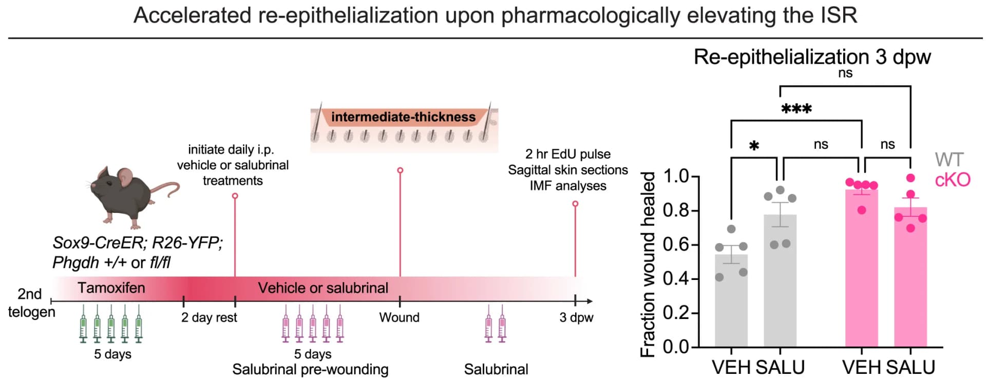 Open access visualization of Bar Plot, Error Bars, Scatter Plot, Experimental Design, ISR