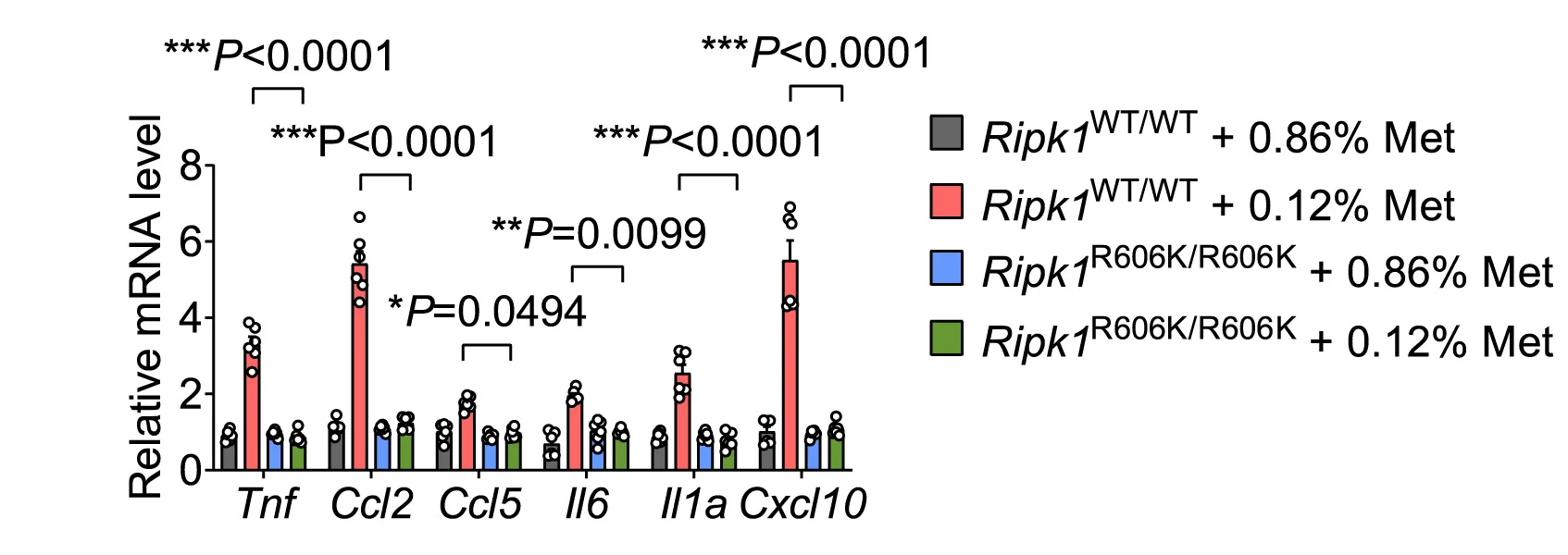 Open access visualization of Bar Plot, Error Bars, Scatter Plot, Real-Time PCR, Inflammatory Gene Expression