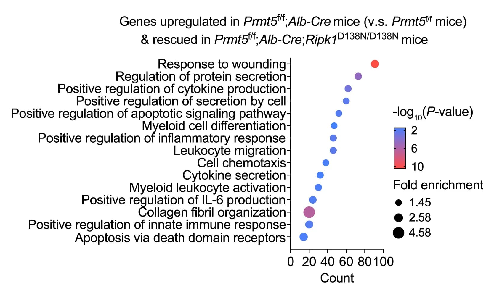 Open access visualization of Scatter Plot, Volcano Plot, GO Analysis, Upregulated Genes, Downregulated Genes