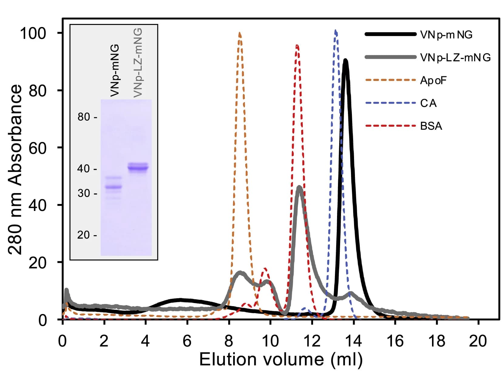 Open access visualization of Line Plot, Gel, Size-Exclusion Chromatography, Recombinant Proteins, Leucine Zipper