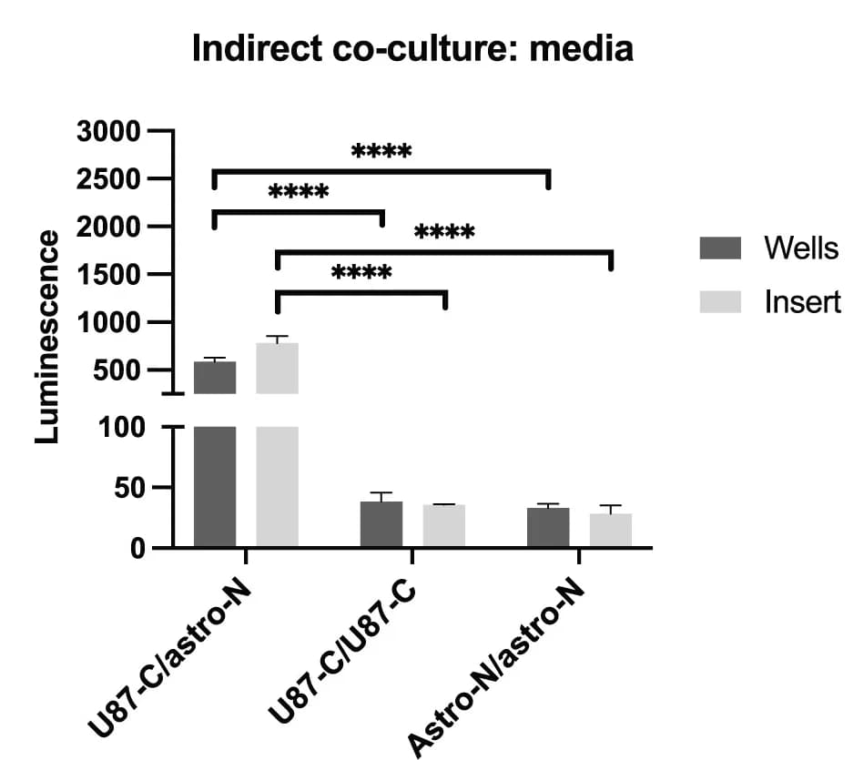 Open access visualization of Bar Plot, Error Bars, Clustered, Indirect Co-culture, U87 Cells