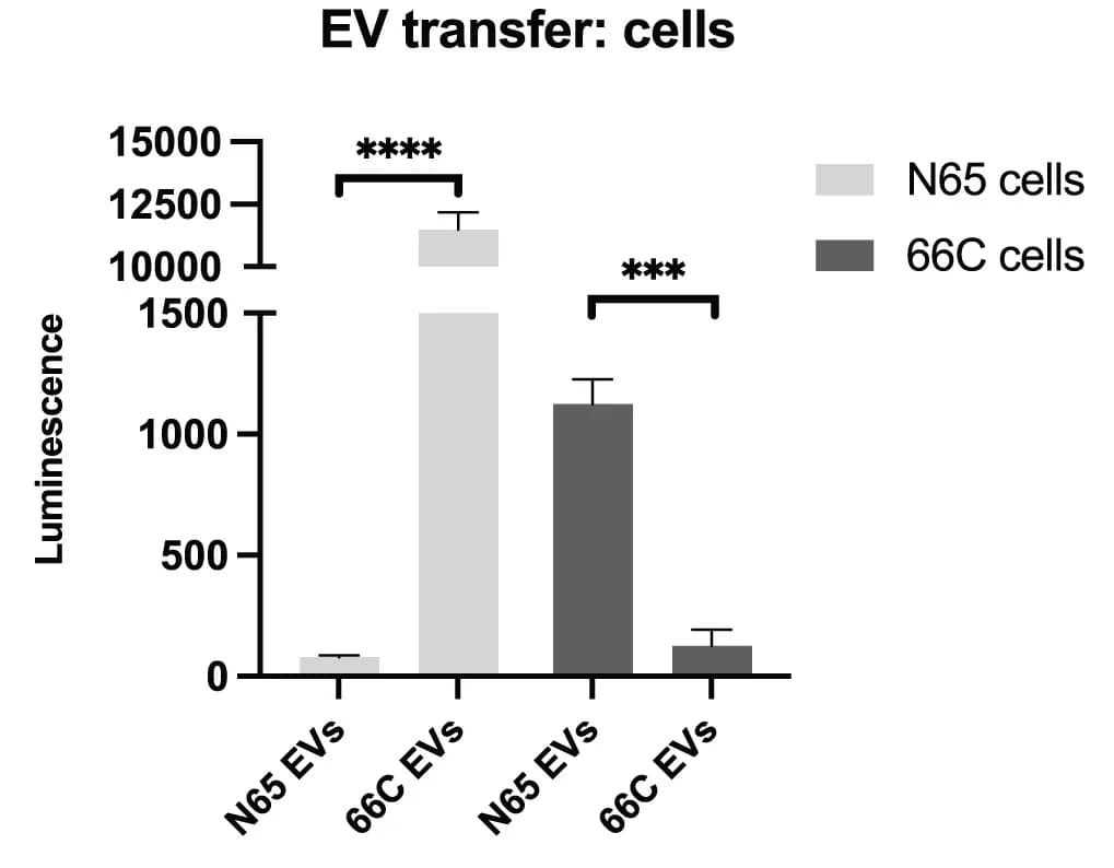 Open access visualization of Bar Plot, Error Bars, Clustered, EVs, HEK Cells
