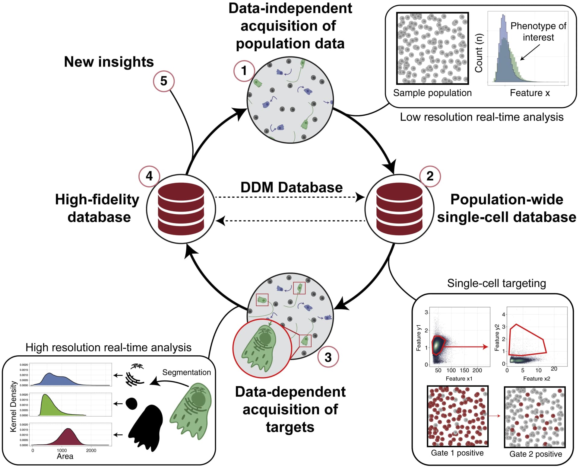 Open access visualization of Workflow, Illustration, Histogram, Scatter Plot, Density Plot