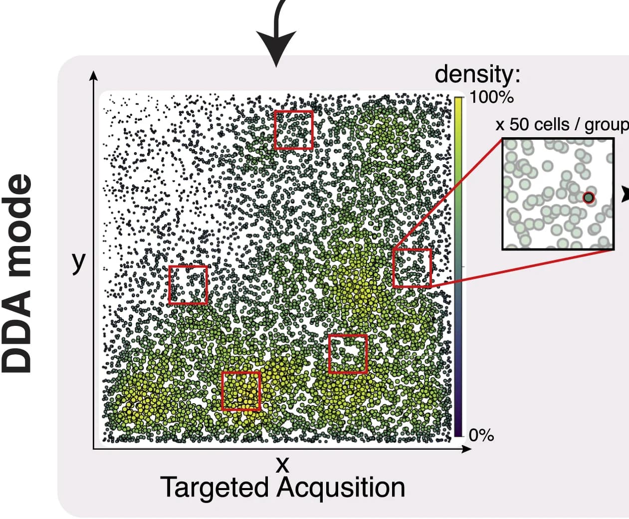Open access visualization of Scatter Plot, Bubble Plot, DDA, Cells, High-Magnification Imaging