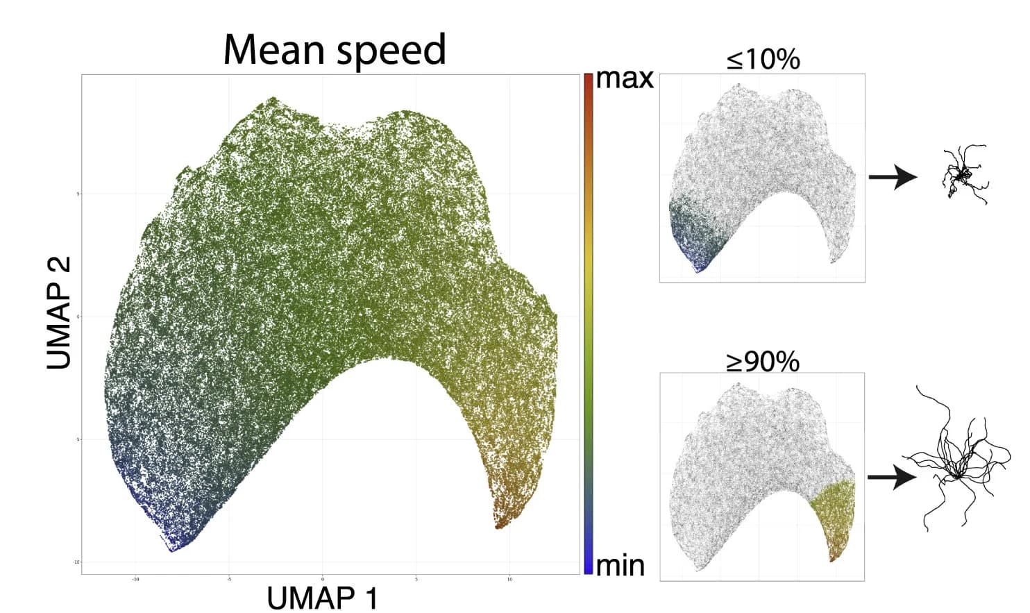 Open access visualization of UMAP, Scatter Plot, Illustration, UMAP space, Mean speed