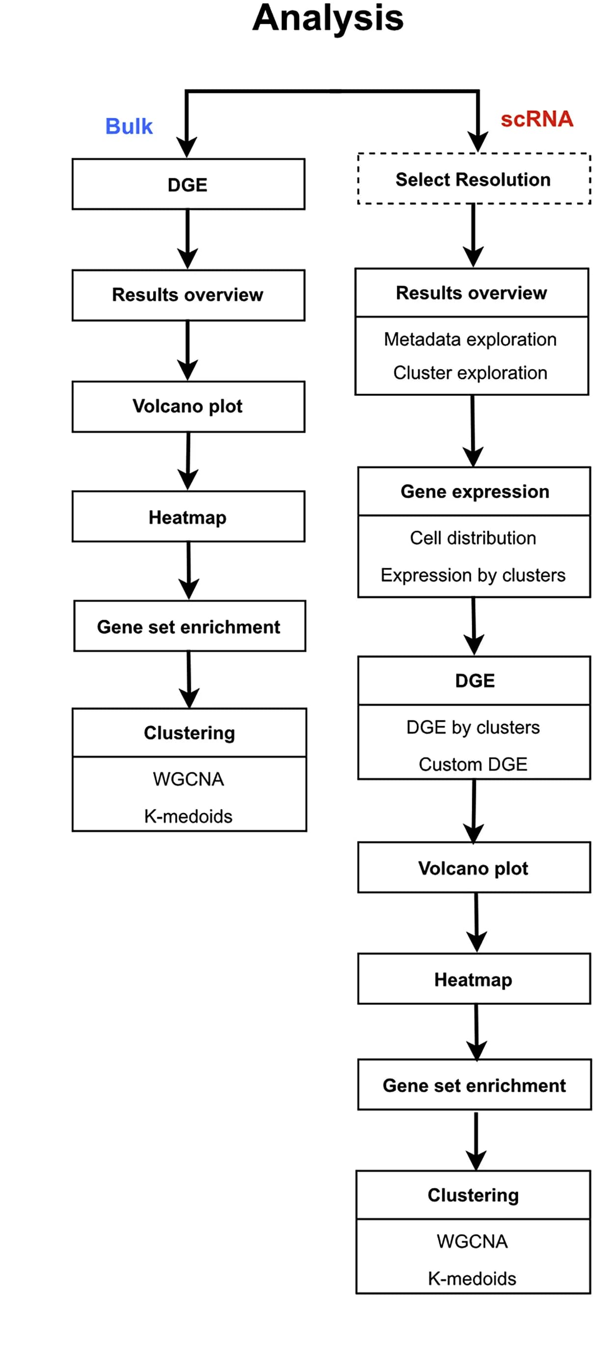 Open access visualization of Workflow, Volcano Plot, Heatmap, Bulk RNA Sequencing, Single-cell RNA Sequencing