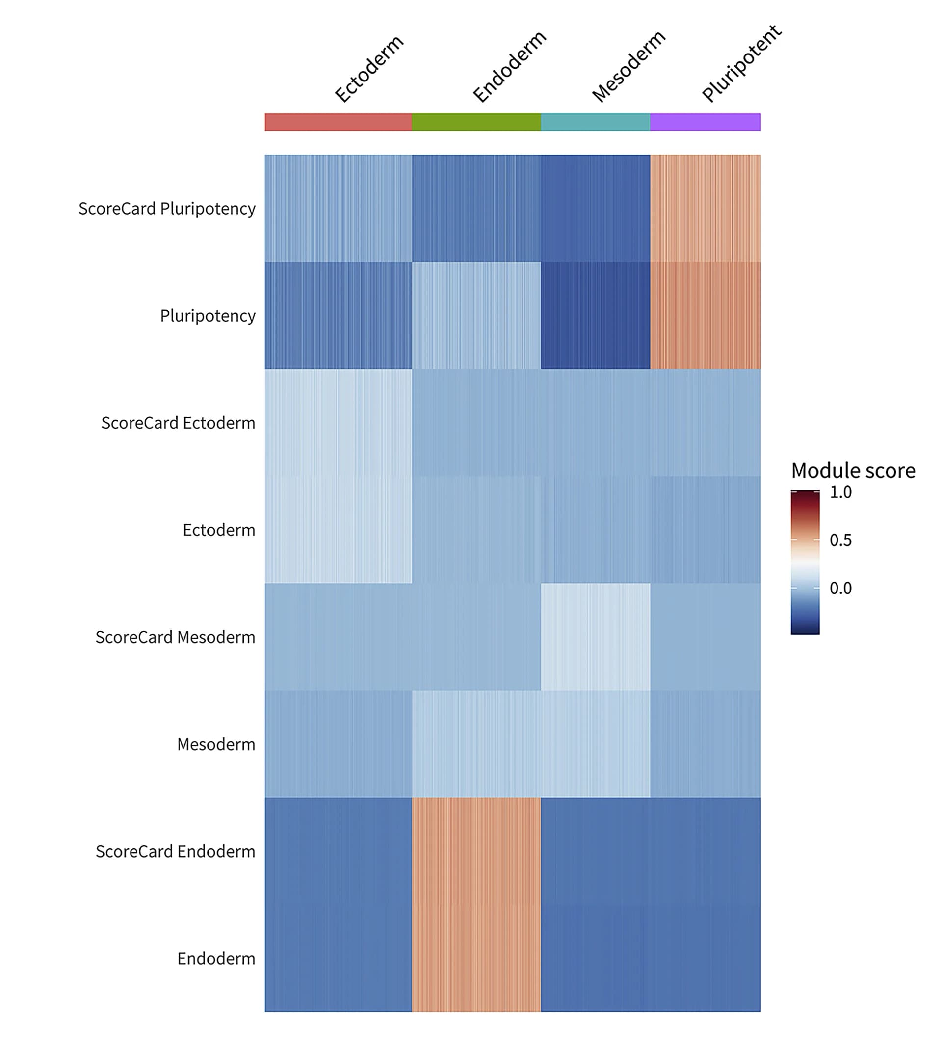 Open access visualization of Heatmap, Module Scores, ScoreCard, iPSC Profiler, Pluripotency