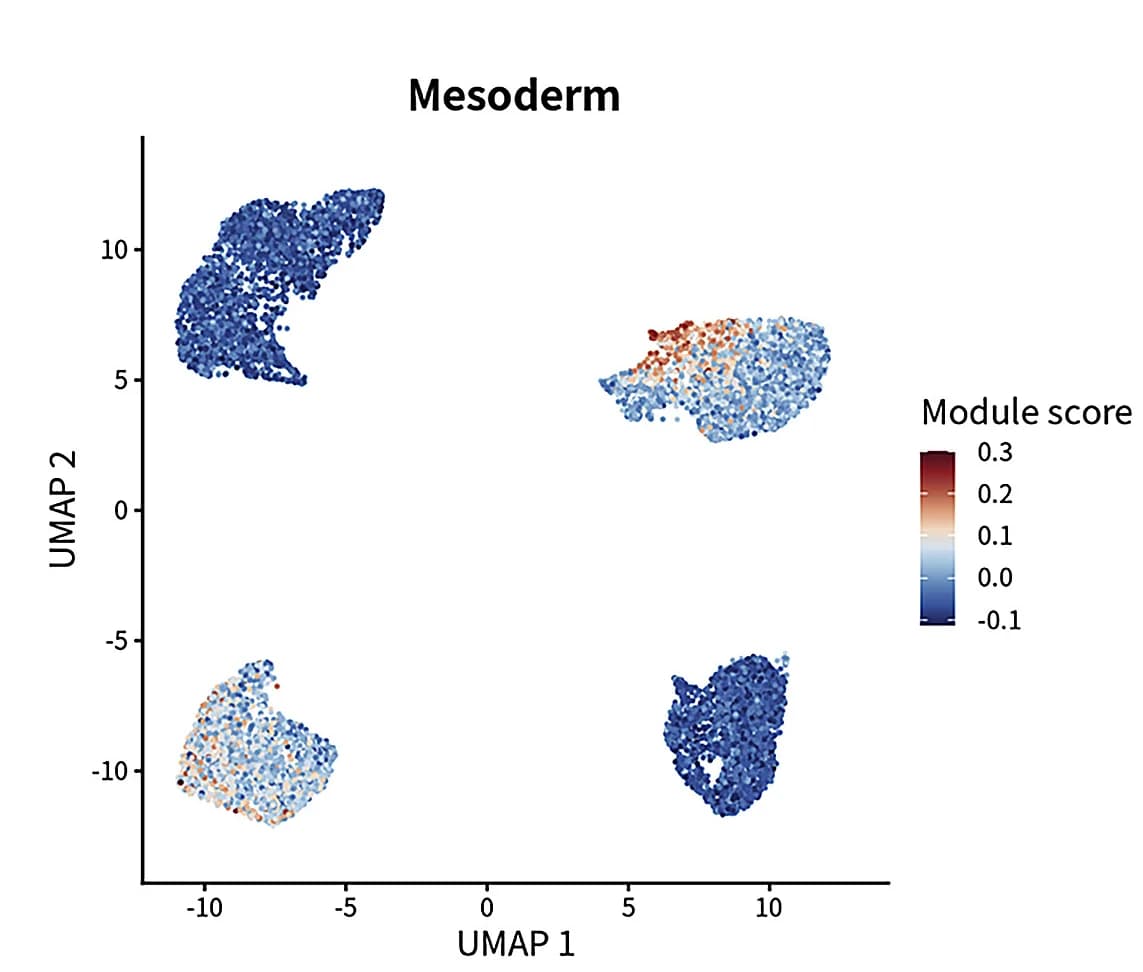 Open access visualization of Scatter Plot, UMAP, Mesoderm, Mesoderm Cluster, Modules