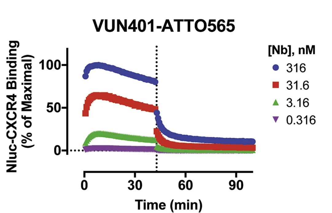 Open access visualization of Line Plot, Scatter Plot, Association, Dissociation, ATTO565-labeled VUN401