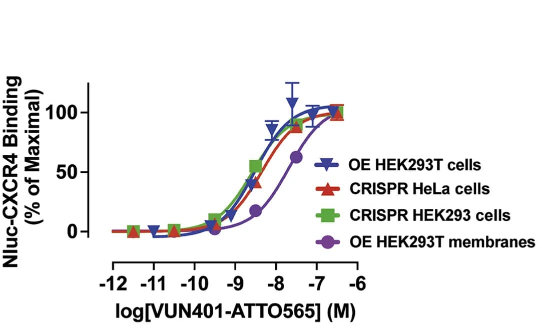 Open access visualization of Line Plot, Error Bars, Equilibrium Binding, ATTO565-labeled VUN401, HEK293T Cells