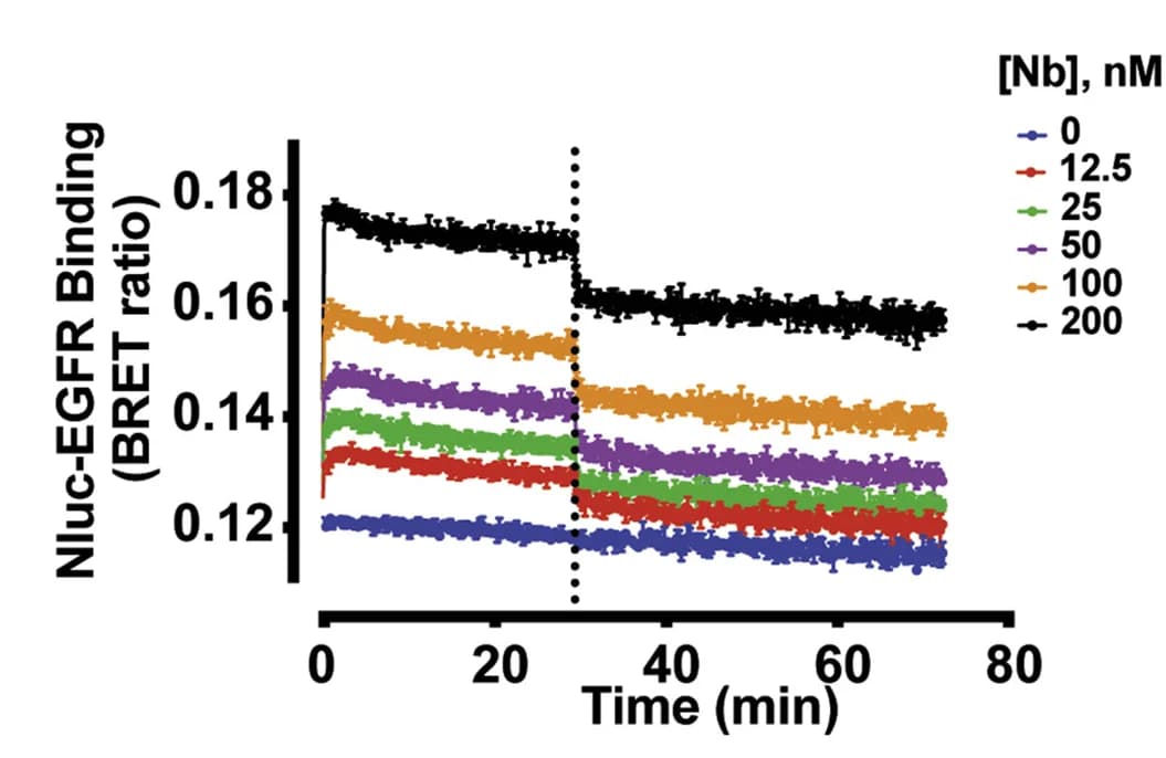 Open access visualization of Line Plot, Error Bars, Association, Dissociation, Q44c-HL488