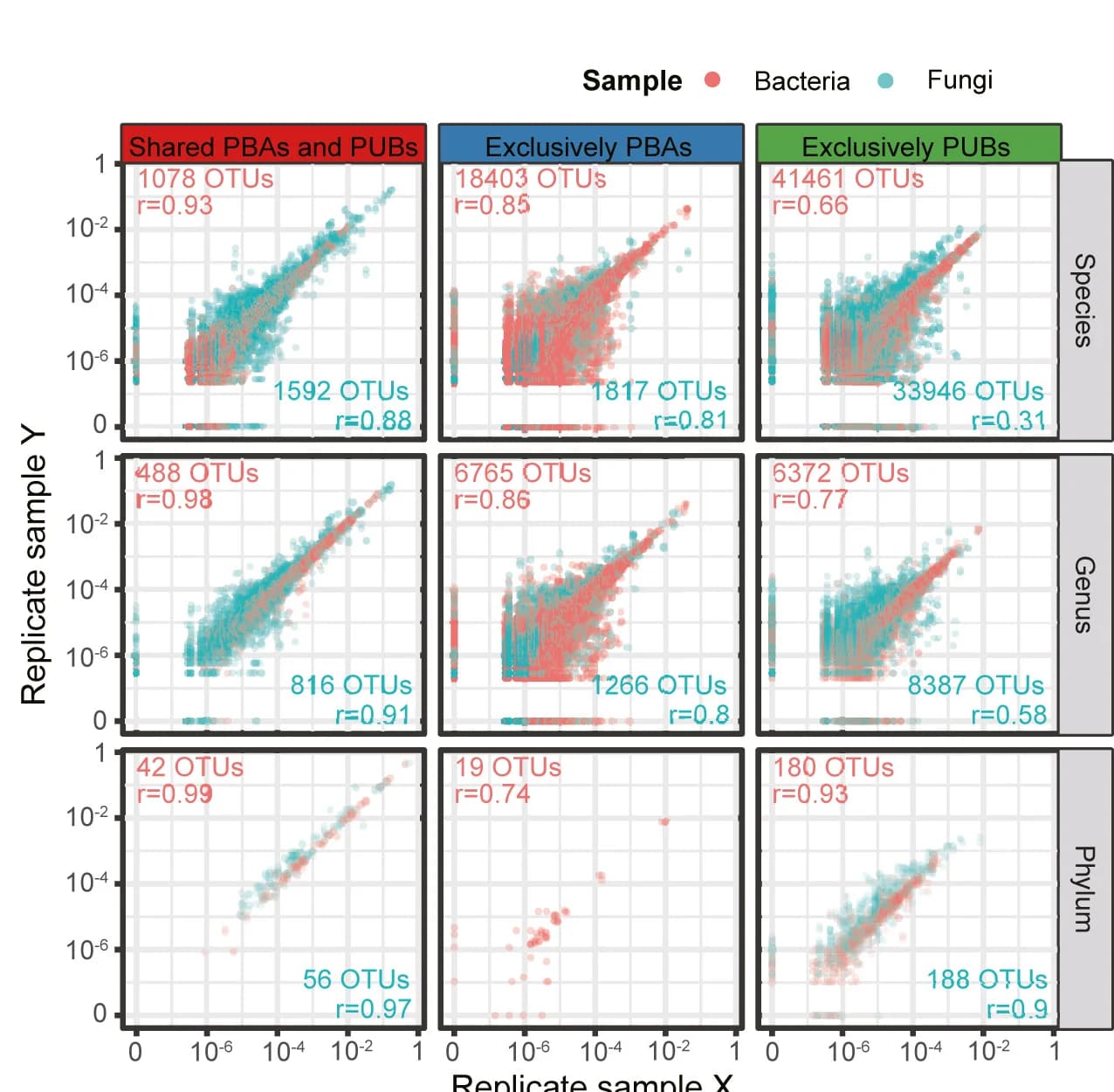 Open access visualization of Scatter Plot, Relative Abundance, Duplicates, Taxonomy, Bacteria