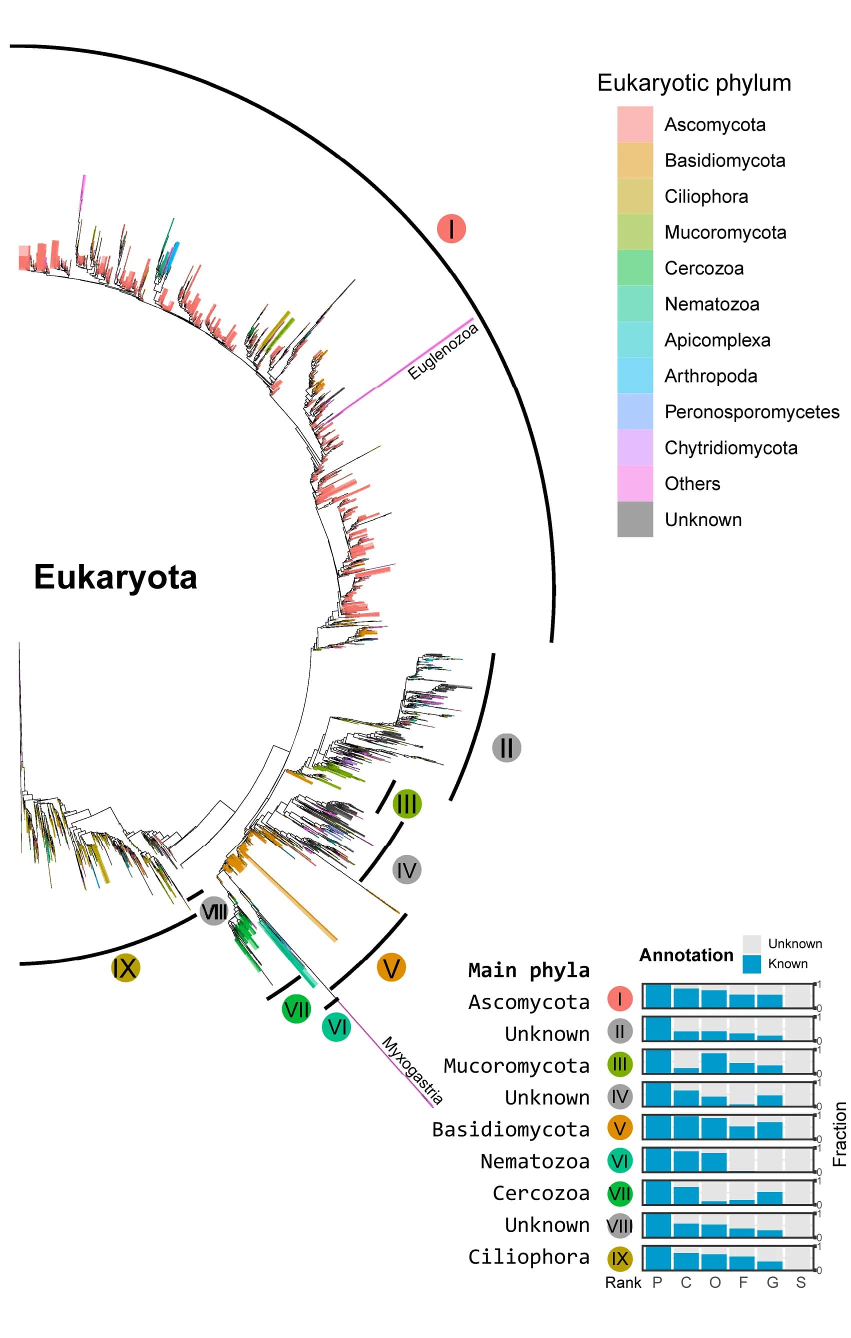 Open access visualization of Bar Plot, Network, Eukaryotic PBAs, SSU, LSU