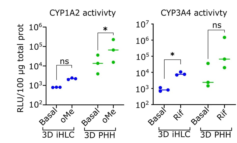 Open access visualization of Scatter Plot, Cytochrome P450 Activity, 3D PHHs, 3D iHLCs, CYP1A2 Activity