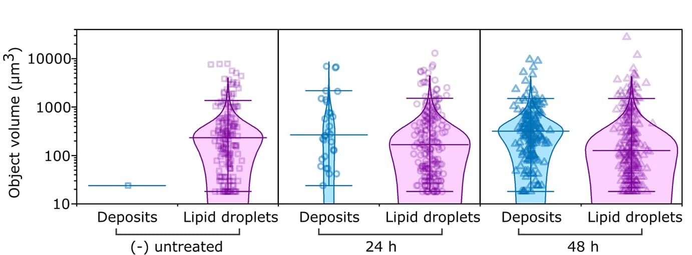 Open access visualization of Violin Plot, Box Plot, Scatter Plot, Particle Size Distribution, Drug