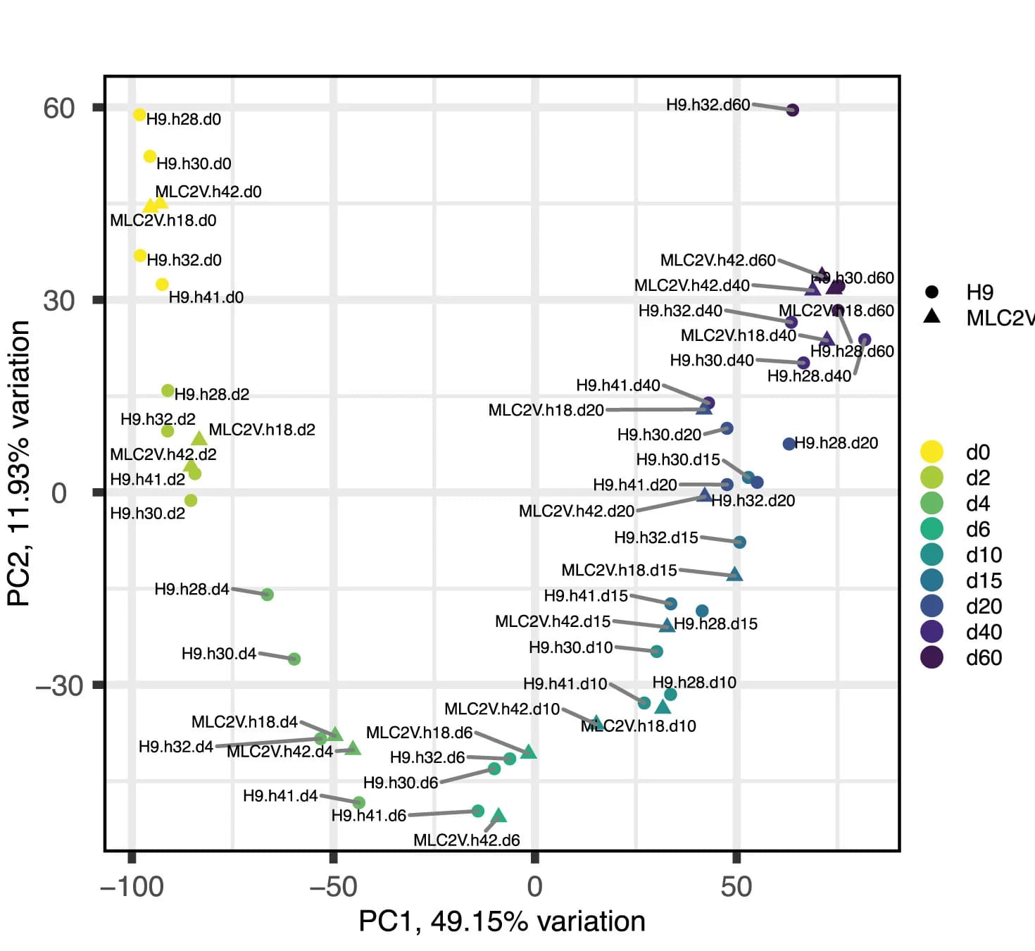 Open access visualization of Scatter Plot, PCA, Principal-Component Analysis, hPSC-LV-CM Differentiation
