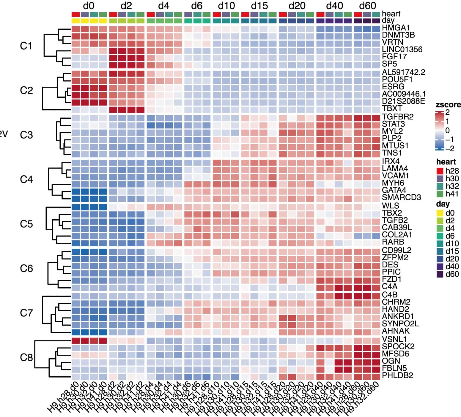 Open access visualization of Heatmap, Clustered, Gene Enrichment, Cluster