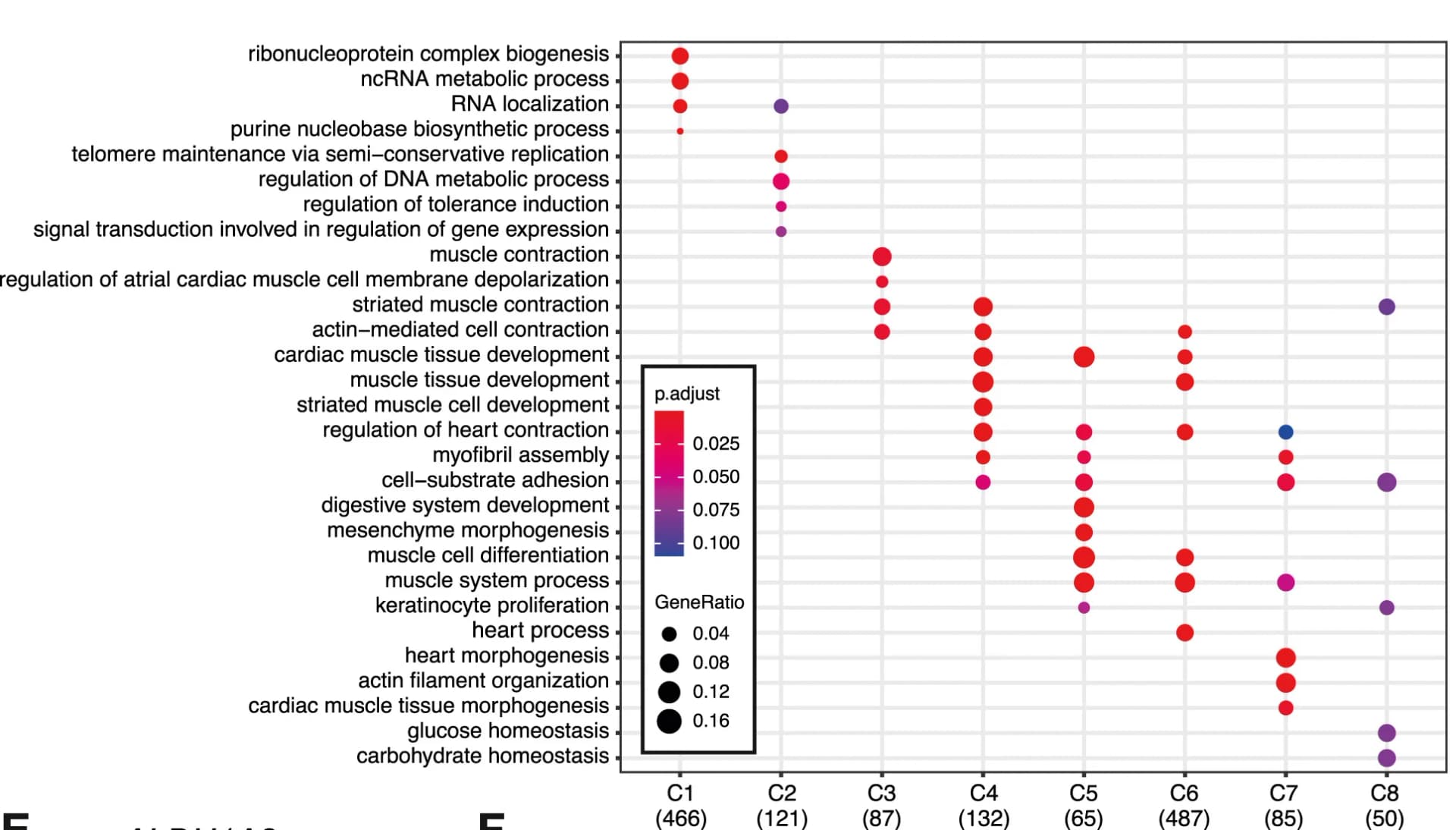 Open access visualization of Scatter Plot, Bubble Plot, GO-Term Analysis, Cluster